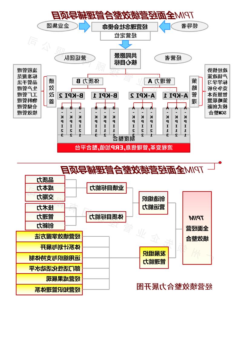 业务及服务-管理咨询-全面经营管理提升_02.png